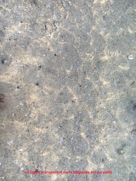 A Pied Dans L Eau Ecolo 97434 Διαμέρισμα L'Ermitage-Les-Bains Εξωτερικό φωτογραφία